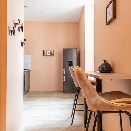 Cosy F3 Lamartine 102 Coeur-centre Clermont-Ferrand